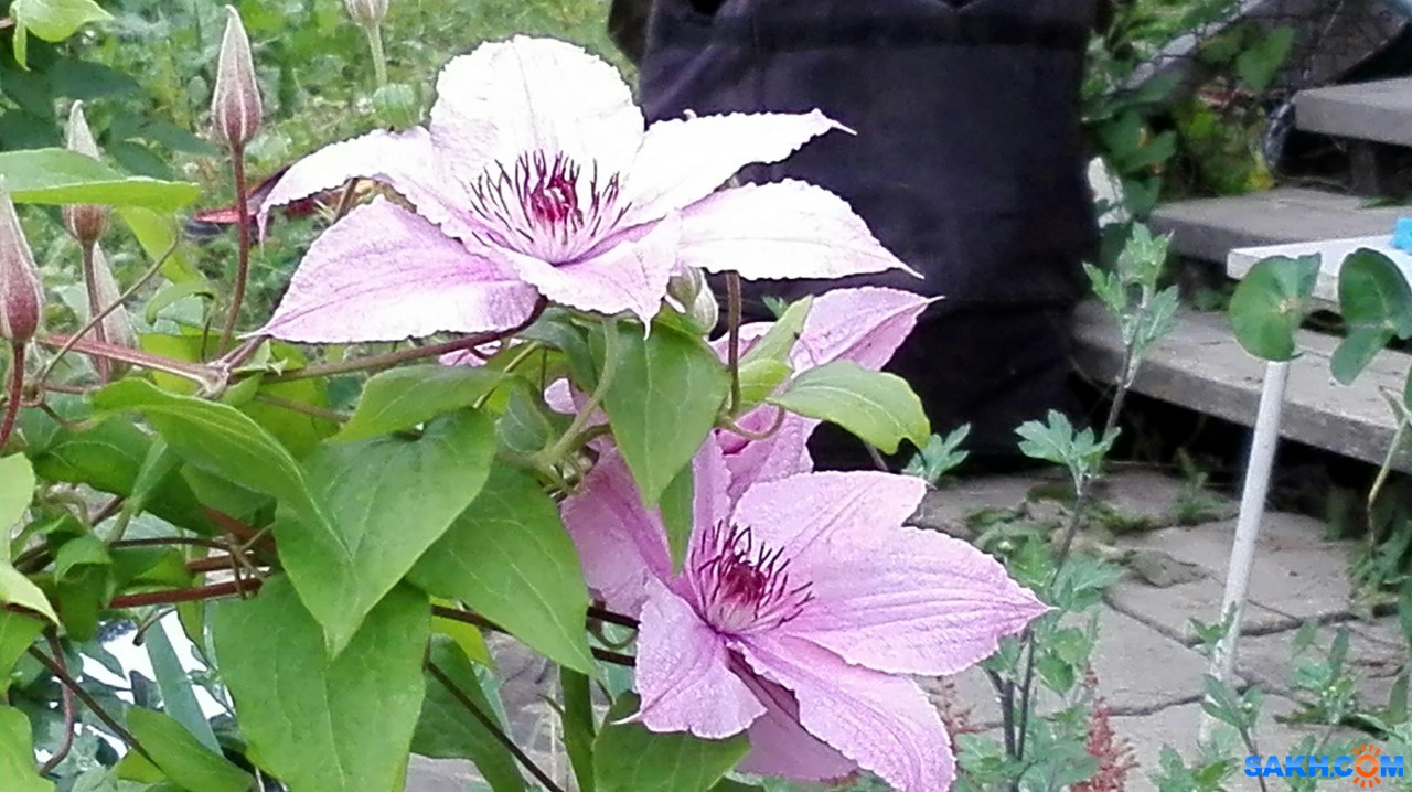 IMG_20170102_091918

Просмотров: 795
Комментариев: 0