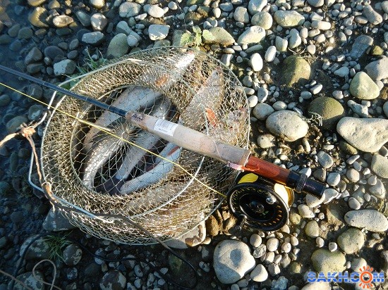 улов за час на фирсовке
Фотограф: мазарчук
как всегда розовый чертик выручает

Просмотров: 1858
Комментариев: 2