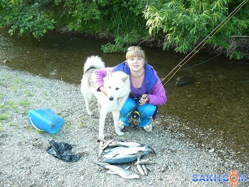 за 2 часа на удочку ДАМ девушка наловила
Фотограф: мазарчук
девушка 2 раз на рыбалке за 2 часа нахлыстом наловила. Удочки и мухи в ПИРАМИДЕ

Просмотров: 2953
Комментариев: 1