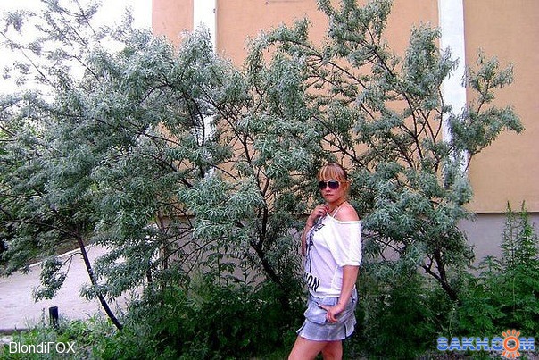 АМГу
Фотограф: Анна Гриценко

Просмотров: 363
Комментариев: 0