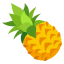 🍍