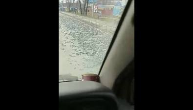 На въезде в Корсаков рассыпали щебень