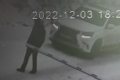 Сахалинец на "Лексусе" сломал шлагбаум, чтобы выехать из СНТ
