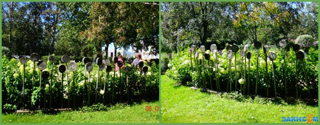 MyCollages-=

Просмотров: 145
Комментариев: 0