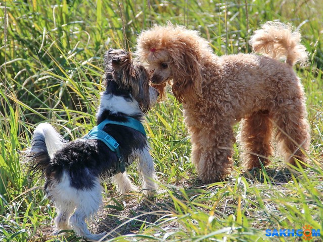 Друзья

Просмотров: 829
Комментариев: 0