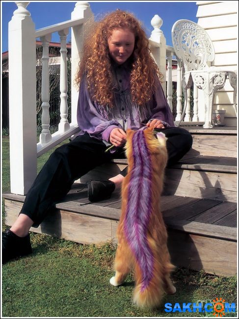 20
Фотограф: synthetic

Просмотров: 210
Комментариев: 0