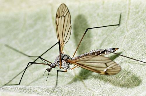 DSC07441
Фотограф: Сергей Буркацкий

Просмотров: 543
Комментариев: 0