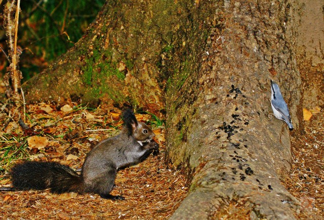 ***
Фотограф: Сергей Буркацкий

Просмотров: 1245
Комментариев: 3