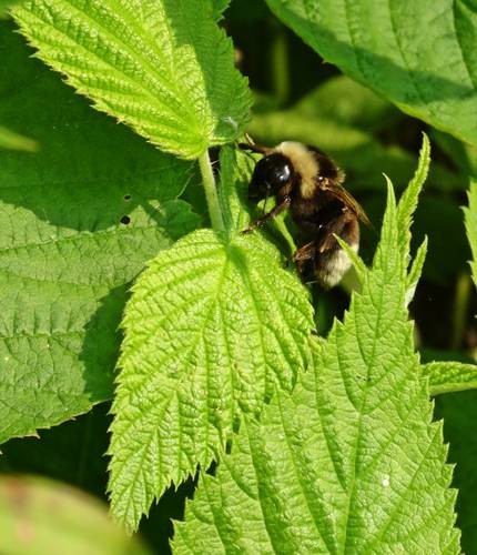 DSC00119
Фотограф: Сергей Буркацкий

Просмотров: 1002
Комментариев: 0