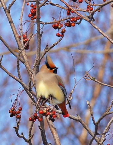 ***
Фотограф: Сергей Буркацкий

Просмотров: 1373
Комментариев: 5