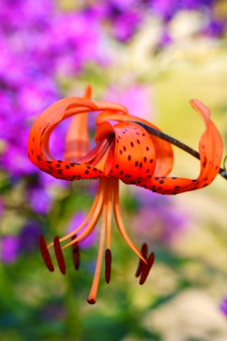 ***
Фотограф: Сергей Буркацкий

Просмотров: 1186
Комментариев: 0