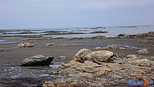 DSC00893