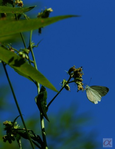 ***
Фотограф: Сергей Буркацкий

Просмотров: 781
Комментариев: 0