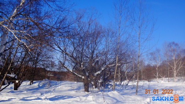 DSC08419

Просмотров: 401
Комментариев: 0