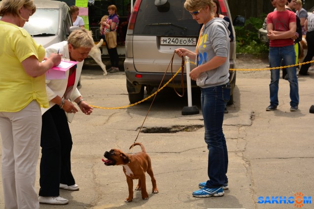 DSC_0052 (1280x853)
Фотограф: Vitus

Просмотров: 368
Комментариев: 0