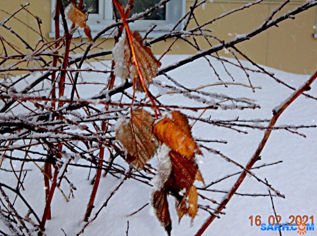 DSC000009

Просмотров: 678
Комментариев: 0