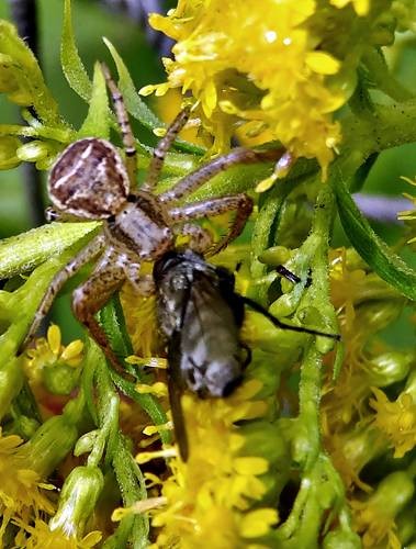 DSC03614
Фотограф: Сергей Буркацкий

Просмотров: 484
Комментариев: 0