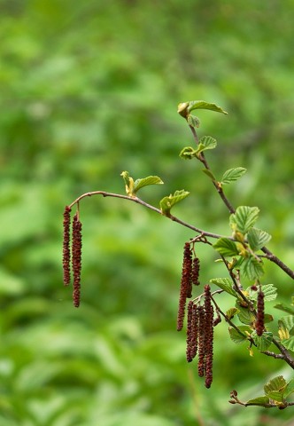 ***
Фотограф: Сергей Букацкий

Просмотров: 836
Комментариев: 0