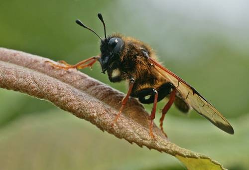 DSC07478
Фотограф: Сергей Буркацкий

Просмотров: 418
Комментариев: 0