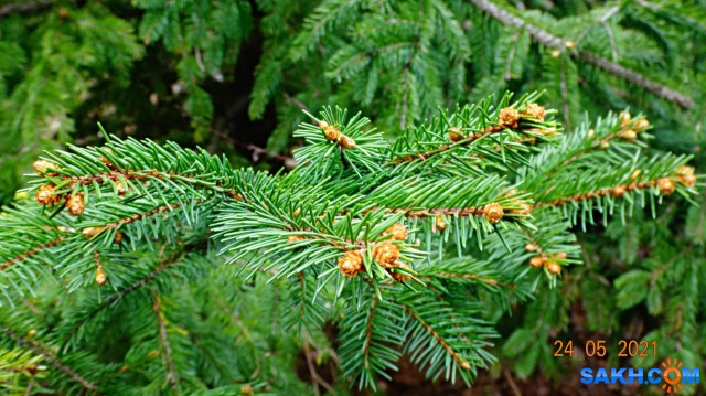 DSC02639

Просмотров: 473
Комментариев: 0