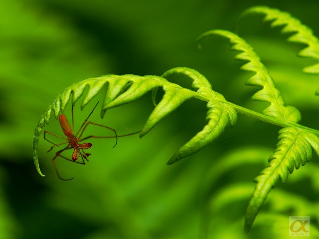 ***
Фотограф: Сергей Буркацкий

Просмотров: 775
Комментариев: 0