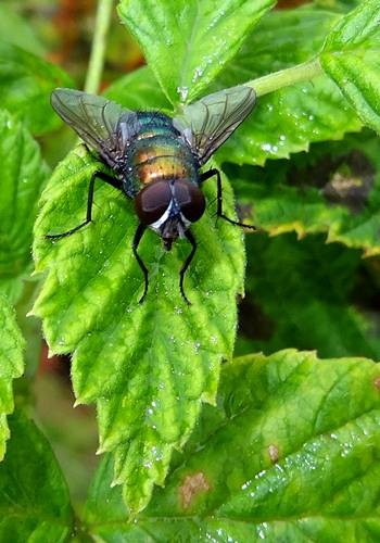 DSC03554
Фотограф: Сергей Буркацкий

Просмотров: 469
Комментариев: 0