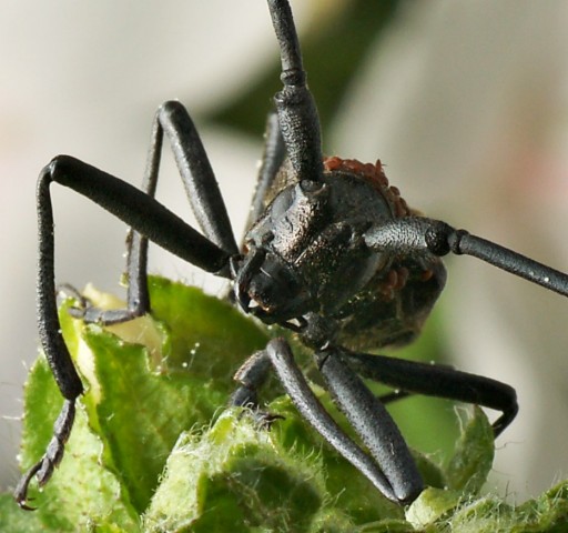 DSC01810
Фотограф: Сергей Буркацкий

Просмотров: 385
Комментариев: 0