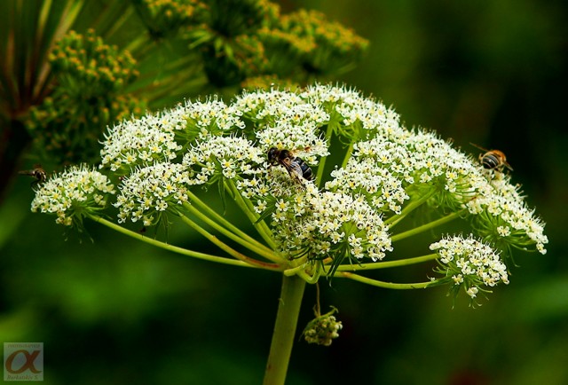***
Фотограф: Сергей Буркацкий

Просмотров: 807
Комментариев: 0