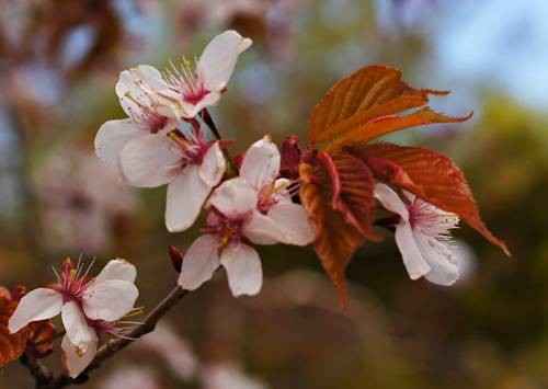 DSC05400
Фотограф: Сергей Буркацкий

Просмотров: 373
Комментариев: 0