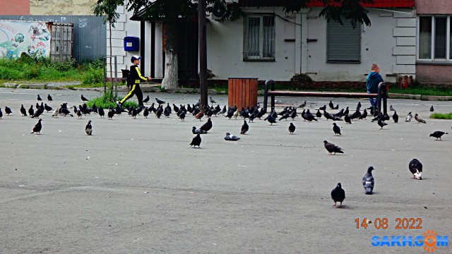 DSC01802

Просмотров: 250
Комментариев: 0