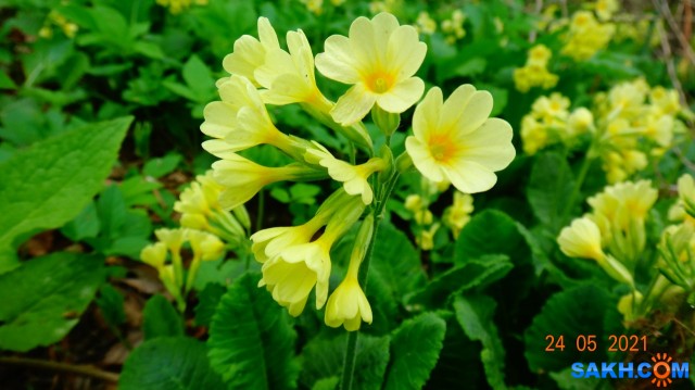 DSC02567

Просмотров: 415
Комментариев: 0