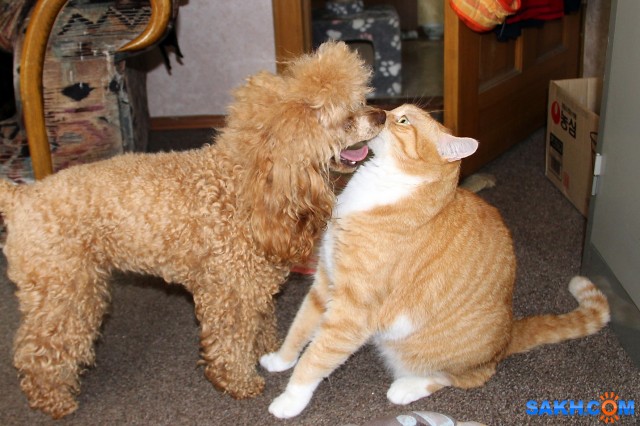 Дай поцелую!

Просмотров: 984
Комментариев: 2