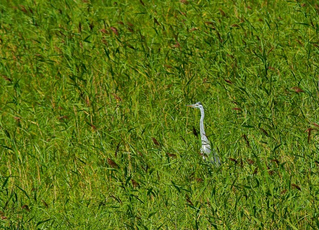 ***
Фотограф: Сергей Буркацкий

Просмотров: 1007
Комментариев: 0