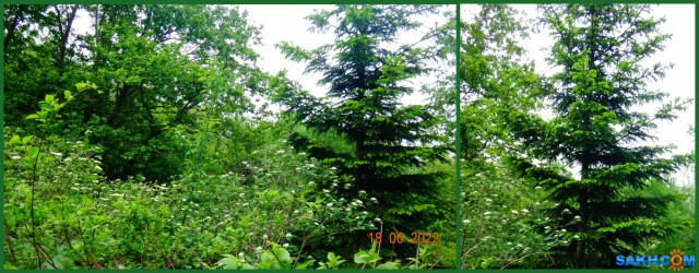 28303c66-4ac2-4a26-8ee9-05d5a3925dd1

Просмотров: 356
Комментариев: 0