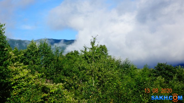DSC05123