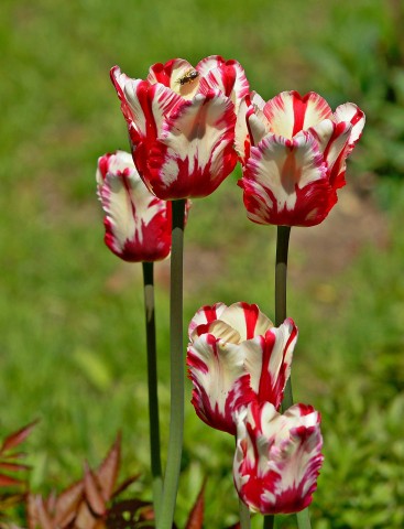 ***
Фотограф: Сергей Буркацкий

Просмотров: 885
Комментариев: 0