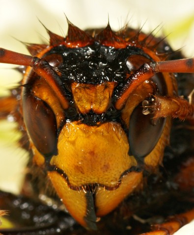 DSC00903
Фотограф: Сергей Буркацкий

Просмотров: 602
Комментариев: 0