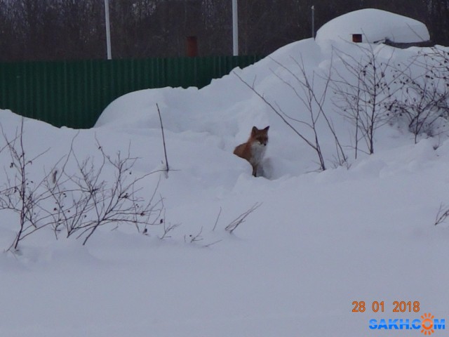 DSC09499

Просмотров: 823
Комментариев: 0