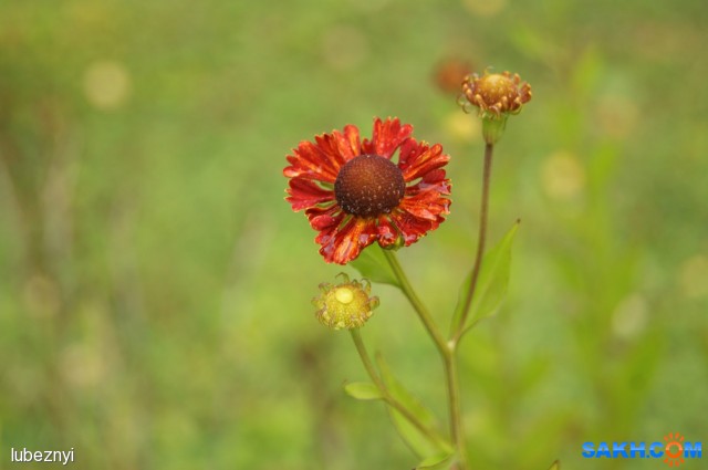 DSC08280
Фотограф: NIK

Просмотров: 711
Комментариев: 0