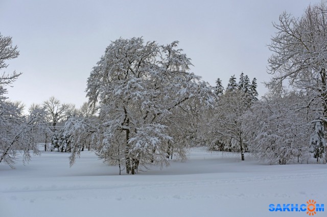 015-к

Просмотров: 730
Комментариев: 0