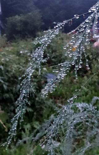 DSC00852
Фотограф: Сергей Буркацкий

Просмотров: 541
Комментариев: 0