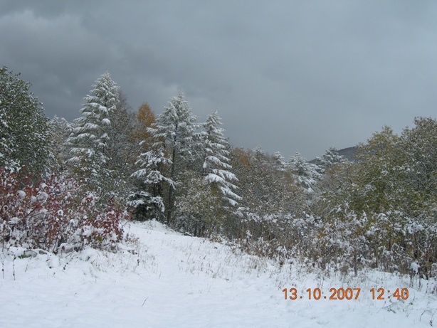 Первый снег в середине октября 2007 г.

Просмотров: 1832
Комментариев: 0