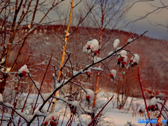 DSC09548

Просмотров: 690
Комментариев: 0
