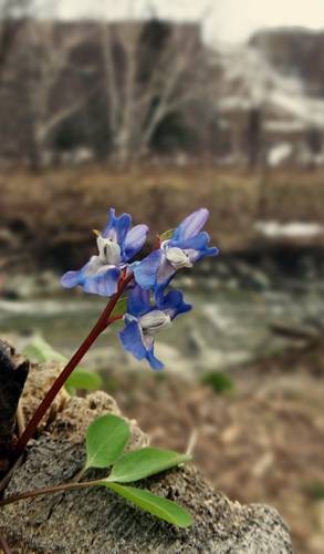 DSC01307
Фотограф: Сергей Буркацкий

Просмотров: 380
Комментариев: 0