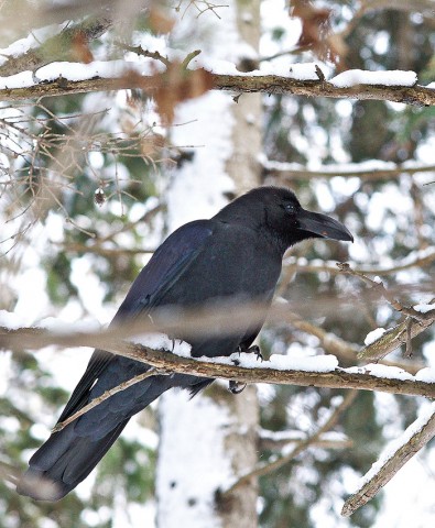 ***
Фотограф: Сергей Буркацкий

Просмотров: 1108
Комментариев: 0