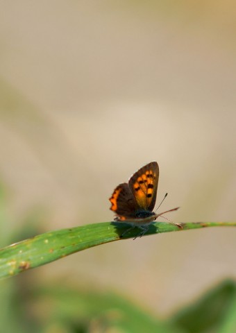 ***
Фотограф: Сергей Буркацкий

Просмотров: 641
Комментариев: 0