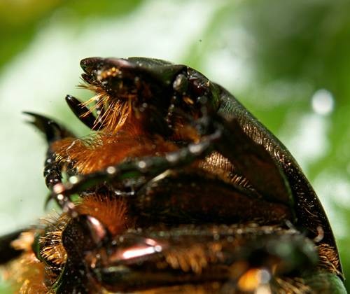 DSC05596
Фотограф: Сергей Буркацкий

Просмотров: 556
Комментариев: 0