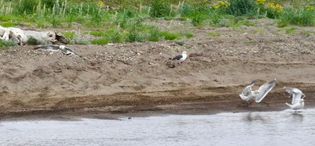 DSC04750
Фотограф: Сергей Буркацкий

Просмотров: 579
Комментариев: 0
