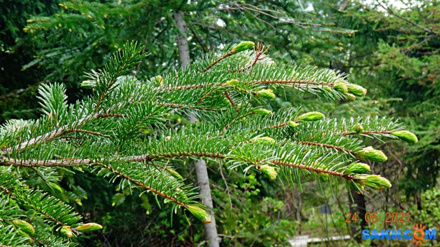 DSC02640

Просмотров: 521
Комментариев: 0