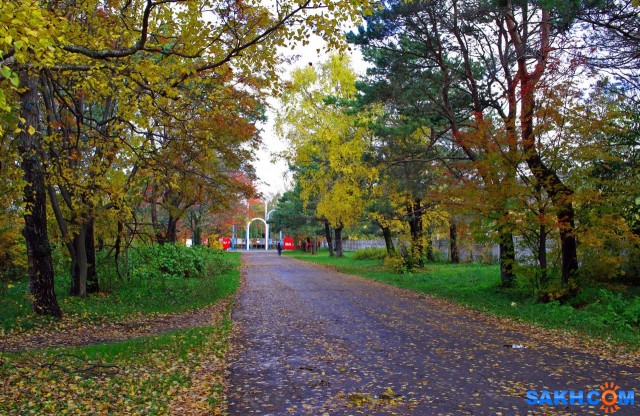 970-к-м

Просмотров: 1505
Комментариев: 0